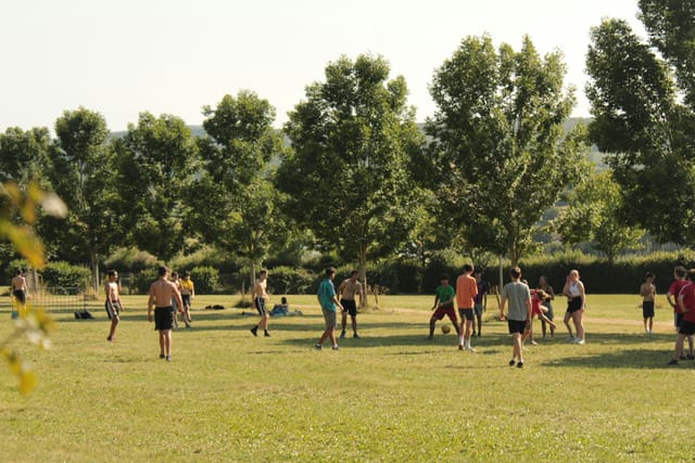 Friends playing a lawn game on a sunny patch of grass, trees behind