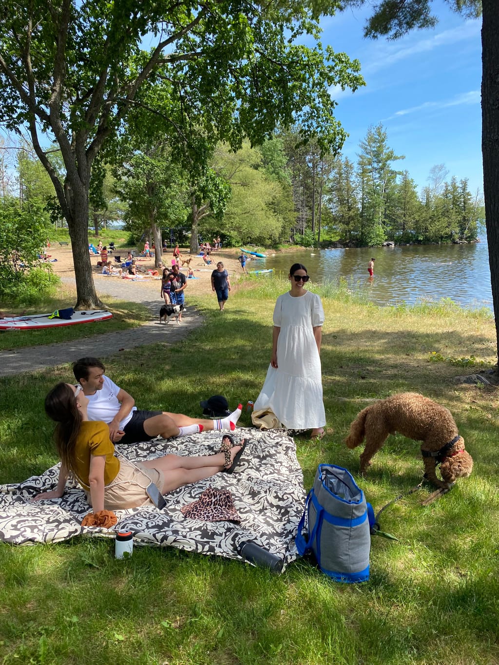 Picnic blanket on the grass at a lakeside park, with a dog, paddleboard and swimmers