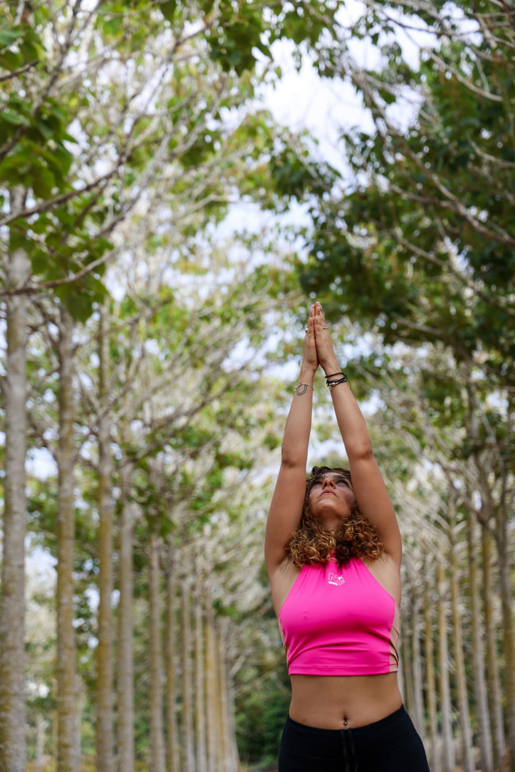 Woman in a pink top reaching both arms overhead in a yoga pose between rows of tall trees