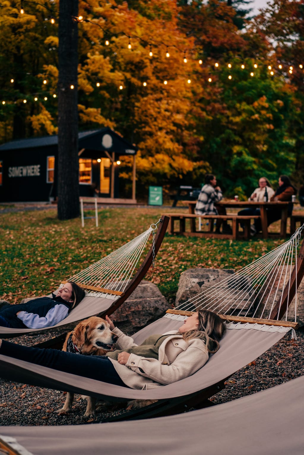 Guests relax in hammocks with a golden retriever among autumn trees, the Lobby hut glowing behind