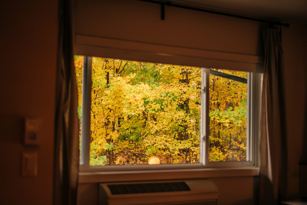 Window framing yellow autumn maple leaves, seen from inside a dim room