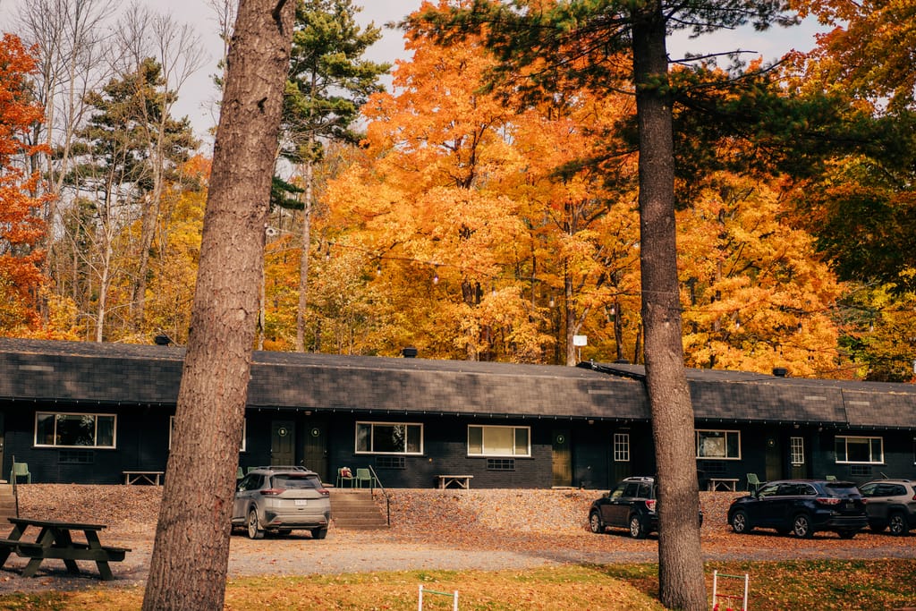 Low black boutique motel building with parked cars, framed by orange autumn maples