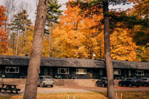 Low black boutique motel building with parked cars, framed by orange autumn maples
