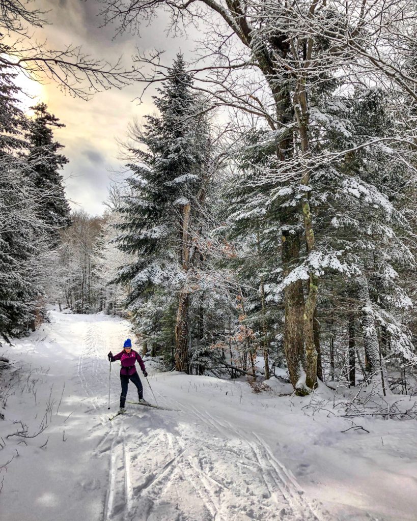 Credit: Phillip Belena. Cross Country skiing through a dense forest with snow covered trees