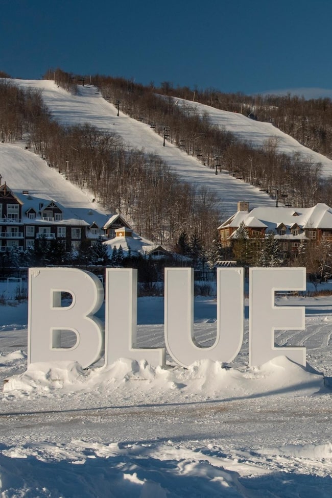 2019-02-01-bm-winterlandscape-005-jpg-min (1)