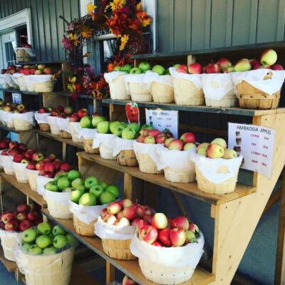 A Perfect Early Fall Weekend in Collingwood